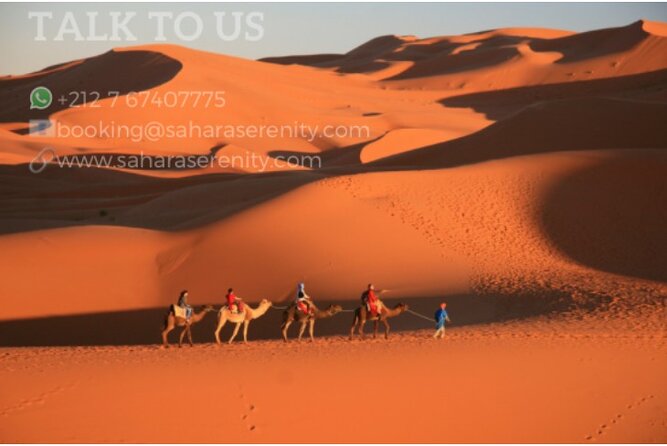 Camel Trekking & 1 Night Desert Camp - Itinerary Details