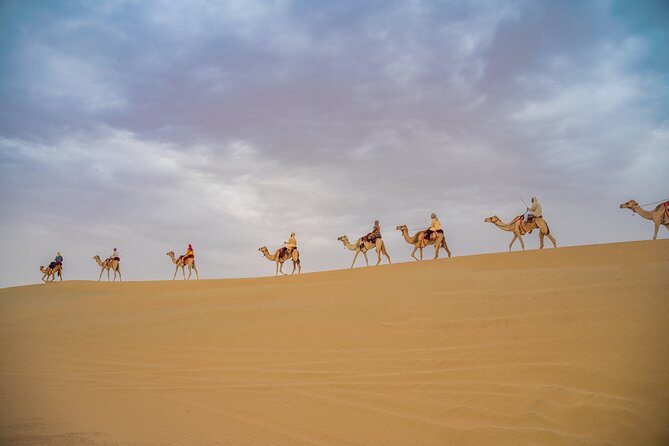 Camel Trekking in Open Red Dunes Desert - Camel Trekking Highlights