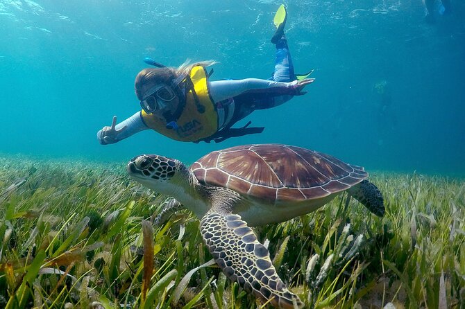 Cancun Snorkeling Adventure: Underwater Museum, Reef & Shipwreck - Inclusions