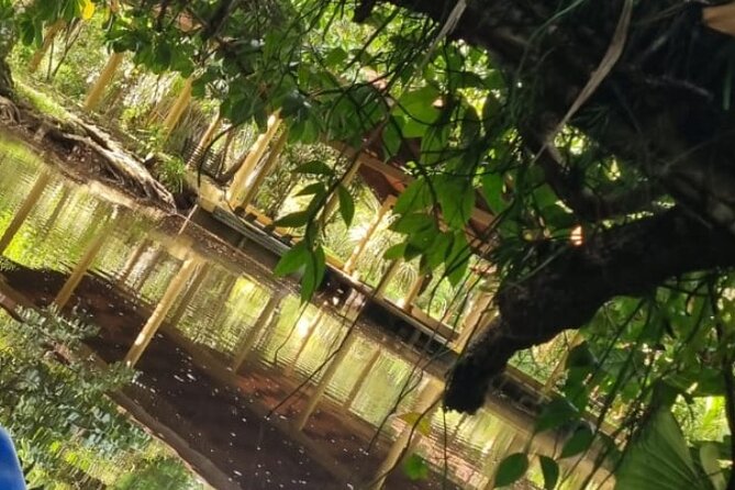 Canoe Tour in Tortuguero National Park - Spotting Wildlife in the Canals