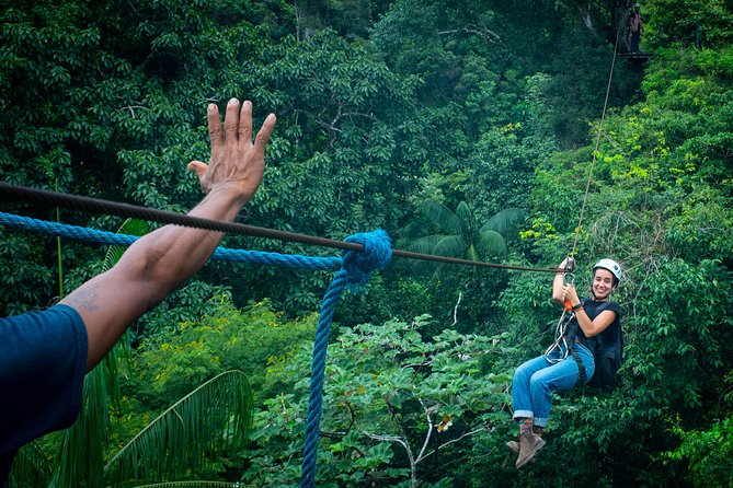Canopy in the Jungle - Navigating the Jungle Canopy
