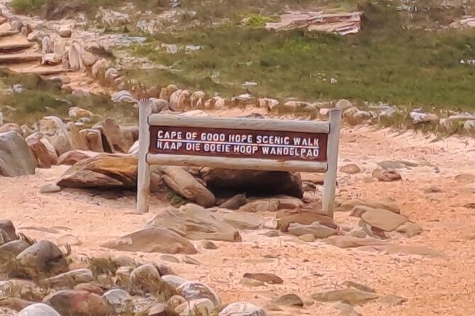 Cape of Good Hope-Cape Point & Penguins From Cape Town - Inclusions and Exclusions