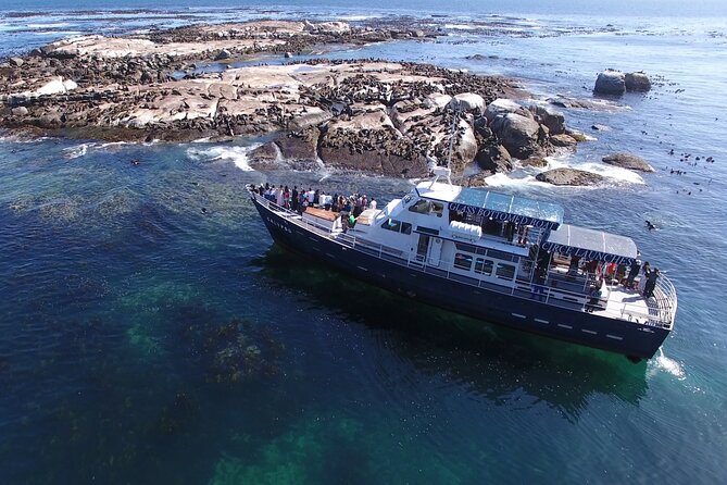 Cape of Good Hope & Penguins From Cape Town Full-Day Private Tour - Encounter With Penguins