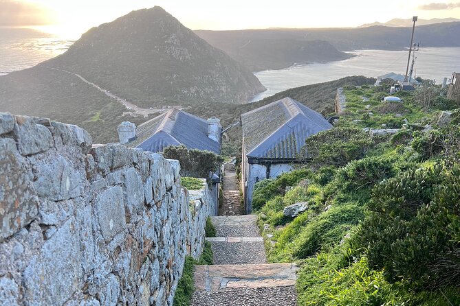 Cape Peninsula Full Day Private Experience - Itinerary Overview