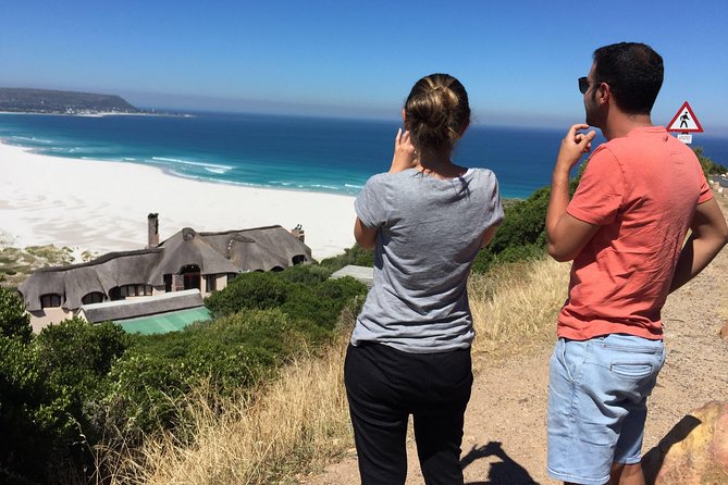 Cape Town Peninsula Day Tour ( Cape Point/Boulders/Wine Tasting) - Boulders Beach Penguin Colony