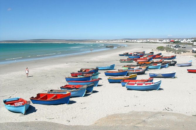 Cape West Coast Full Day Private Day Tour - Inclusions and Costs