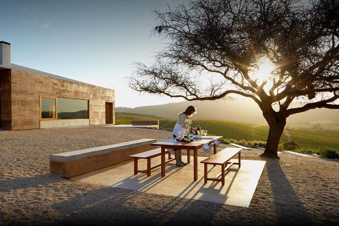 Casas Del Bosque Vineyard Tour - Pickup and Transportation Details