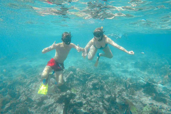 Catalina Island - Full Day All Inclusive Experience - Pickup and Start Details
