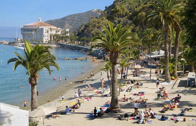 Catalina Island W/Discover Avalon Scenic Tour & Hotel Transfers - Itinerary Highlights