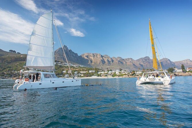 Catamaran Cruise in Cape Town - Meeting and End Points