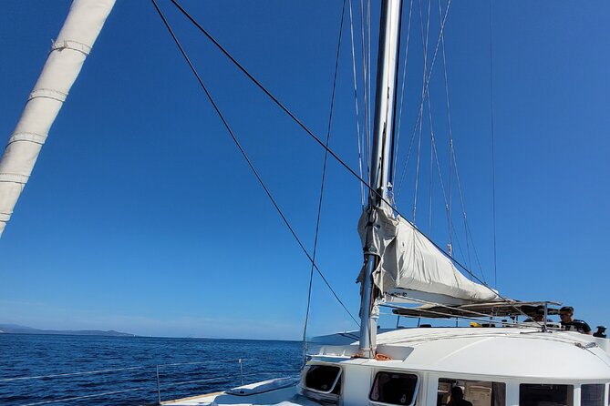 Catamaran From La Caletta - Sardinia - Capo Comino - Isola Rossa - Schedule and Policies