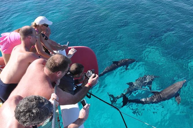 Catamaran Sailing Tour - Catamaran and Cruise Experience