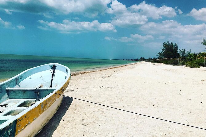 Celestun Beach and Mangrove Boat Ride From Merida - Inclusions and Logistics