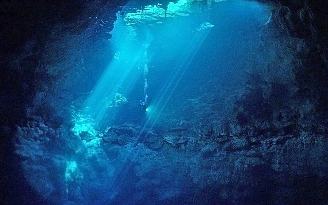 Cenotes 2-Tank Dive in Playa Del Carmen/For Certified Divers Only - Inclusions and Costs