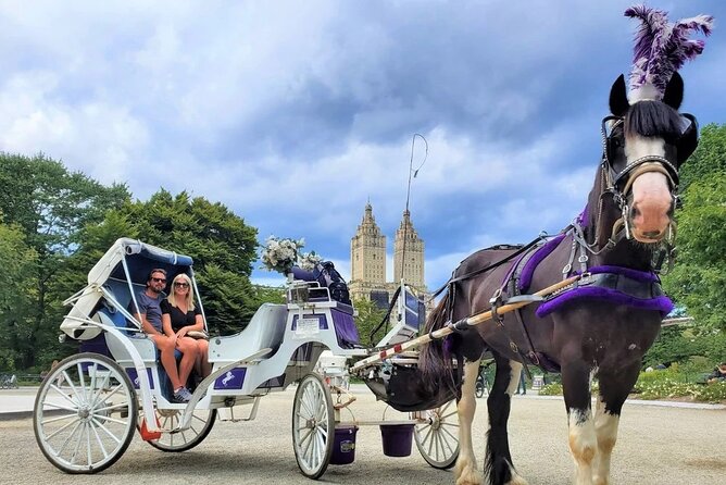 Central Park Horse and Carriage Rides - Tour Highlights and Landmarks