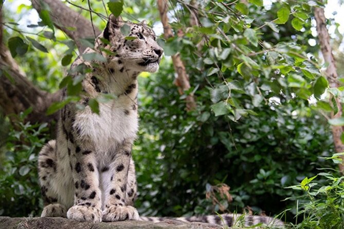 Central Park Zoo Admission Ticket With 4D Theater Access - 4D Theater Experience