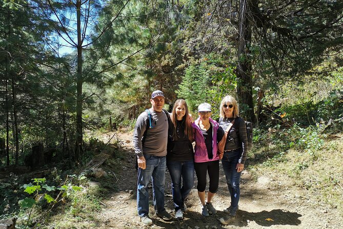 Cerro Pelon Monarch Butterfly Sanctuary. - Tour Pricing and Details