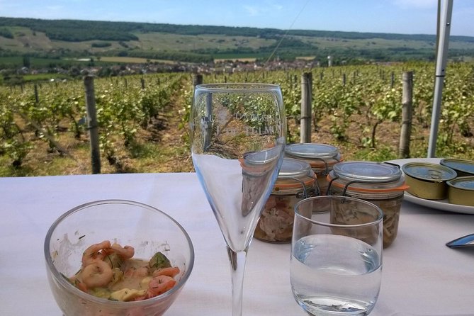 Champagne Moet and Chandon Private Tour With Tastings From Reims or Epernay - Itinerary Highlights