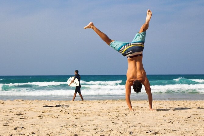 Chile South Coast Beaches Private Tour From Santiago - Transportation and Comfort