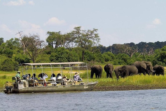 Chobe Half Day Trip - Inclusions
