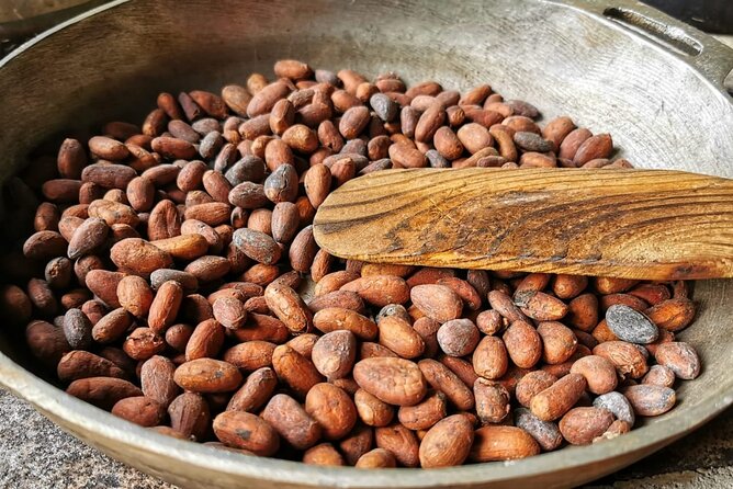 Chocolate and Coffee Tasting Tour Manuel Antonio - Inclusions and Highlights
