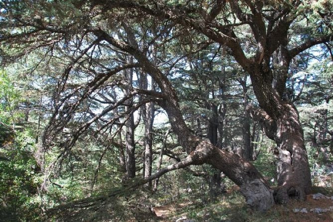 Chouf Charm: Private Journey Through Lebanons Historic Heartland - Included Features