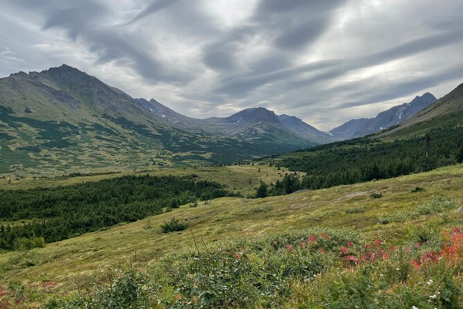 Chugach State Park Nature Walk - Health and Participation Guidelines
