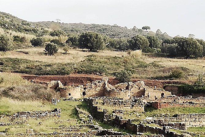 Cilento Torre Velia of Ascea Round-Trip Transport  - Campania - Exploring the Torre Velia Ruins