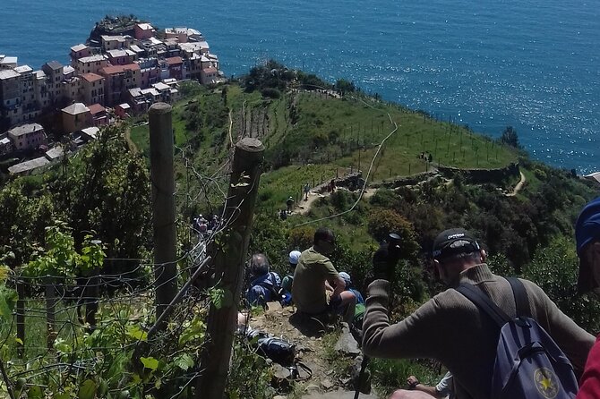 Cinque Terre Unforgettable Hiking Experience - Olive and Citrus Cultivation