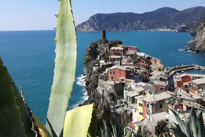 Cinque Terre With Vernazza Manarola and Corniglia From Livorno Cruise Port - Included in the Tour