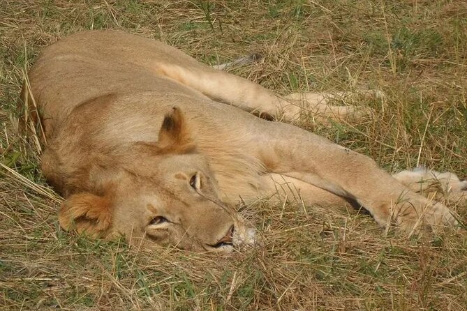 Classic Best of Kenya - Inclusions of the Tour