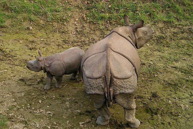Classic Nepal Tour - Itinerary Highlights