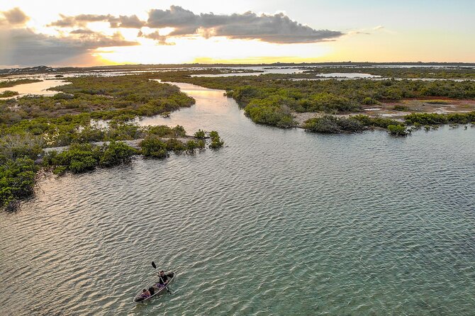 Clear Bottom Kayak Mangrove Eco Tour - Booking and Confirmation
