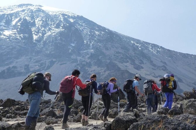 Climb Kilimanjaro - Marangu Route 8 Day Program - Arrival and Acclimatization