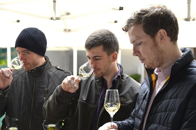Clotilde Davenne Wine and Cheese Pairing Tasting in Chablis - Accessibility and Participation