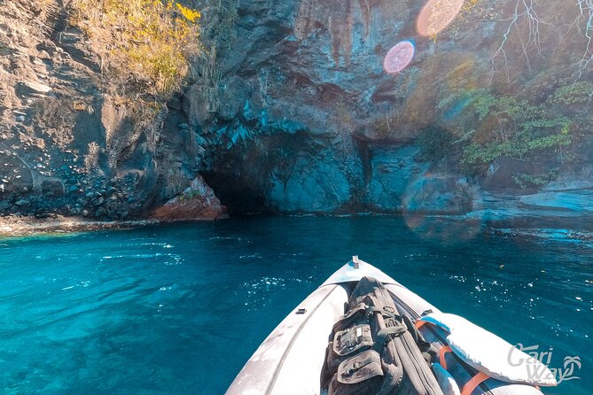 Coast and Cave Kayak Adventure With Rum Tasting - Pickup and Transportation