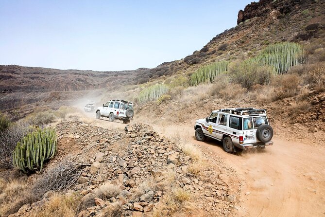 Cofete Sunset 4x4 Safari With Dinner in Punta De Jandia - Inclusions and Exclusions