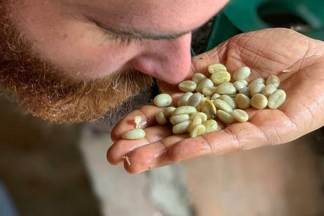 Coffee Experience - Finca in Fredonia - Exploring the Finca in Fredonia