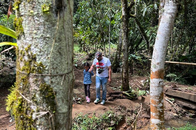 Coffee Plantation Tour Medellin - Immerse in the Plantation Experience
