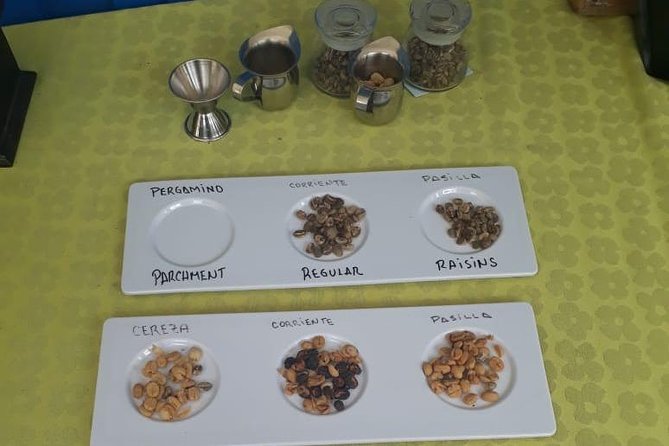 Coffee Tour Medellin - Tour Experience