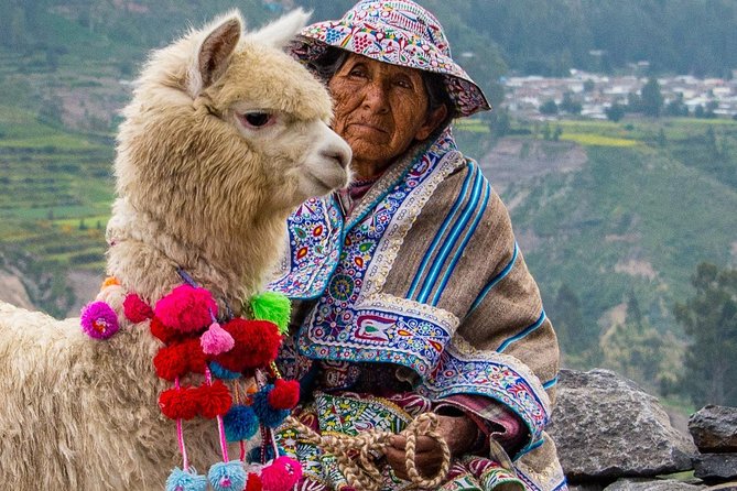 Colca Canyon 2 - Days From Puno To Arequipa - Inclusions and Pricing