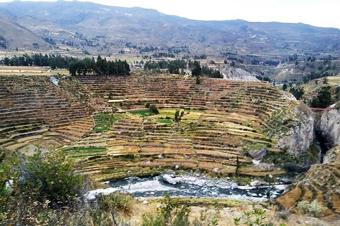 Colca Canyon Tour 2d Short Hiking + Overnight in Small Village Ending in Puno - Pickup and Start Time