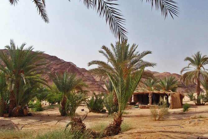 Coloured Canyon and White Canyon 1-day Jeep Safari From Dahab - Inclusions