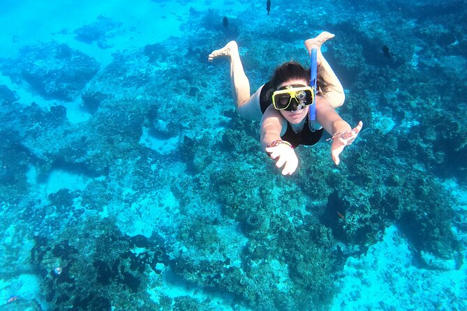 Columbia , Palancar & Cielo Snorkel Tour - Inclusions