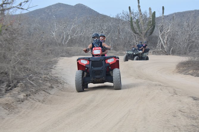 Combo Double Atv + Horses - Inclusions