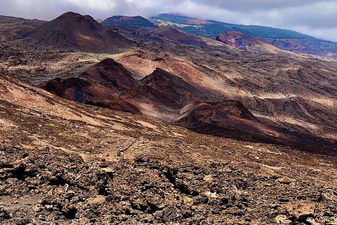 Come Discover the Island of El Hierro in a Small Group - Tour Schedule