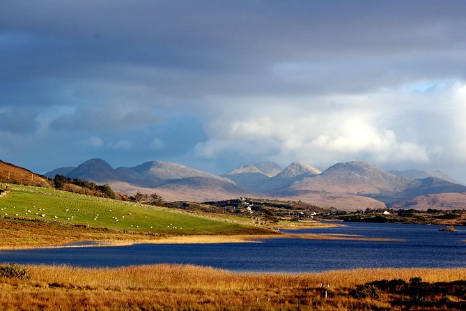 Connemara & Connemara National Park Day Tour From Galway. Guided. - Tour Options