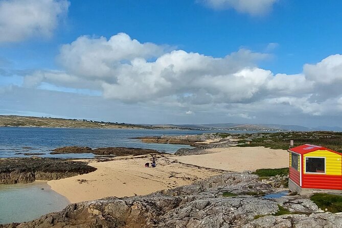Connemara Sheep Farm Experience & Kylemore Abbey by Lux Limousine - Inclusions and Amenities