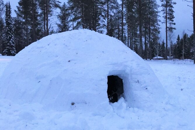 Cool Igloo Experience - Group Size and Personal Touch