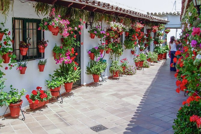 Cordobas Authentic Patios: 2-Hour Tour With Tickets - Seasonal Considerations